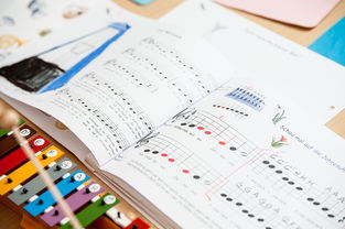 -中小学体育教师继续教育体系建设与实施研究，小学体育继续教育考试试题及答案