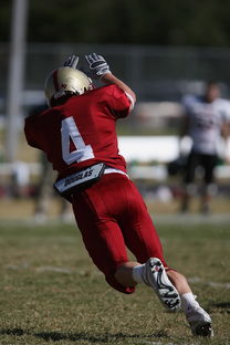 爱游戏体育app-德甲球队休赛期集训方式对开局表现影响，德甲青训规则