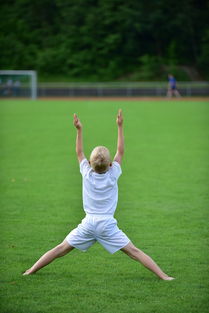 爱游戏体育APP下载-高校运动训练计划动态调整机制研究，运动训练调控